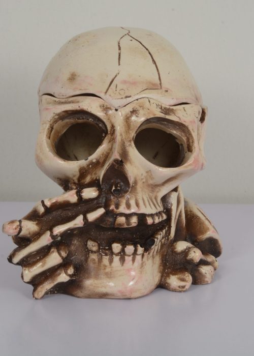 Skull Medkhan